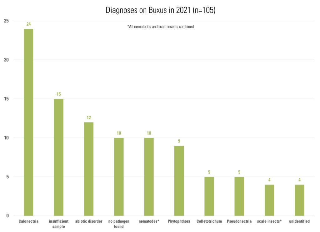 Bar graph showing top diagnoses from boxwoods