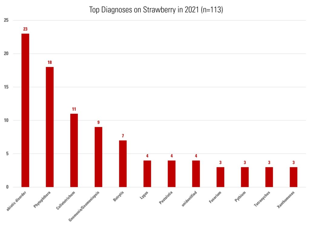 Bar graph showing top diagnoses from strawberries