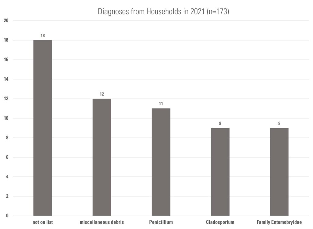 Bar graph showing the top diagnoses from households