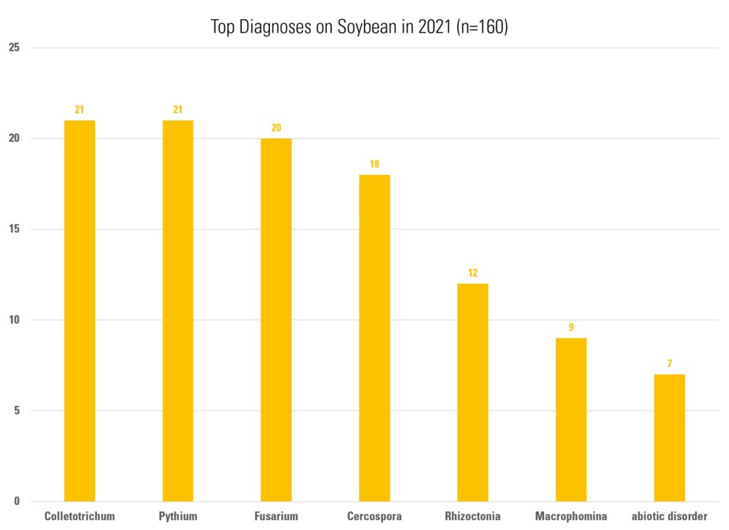 Bar graph showing top diagnoses from soybeans