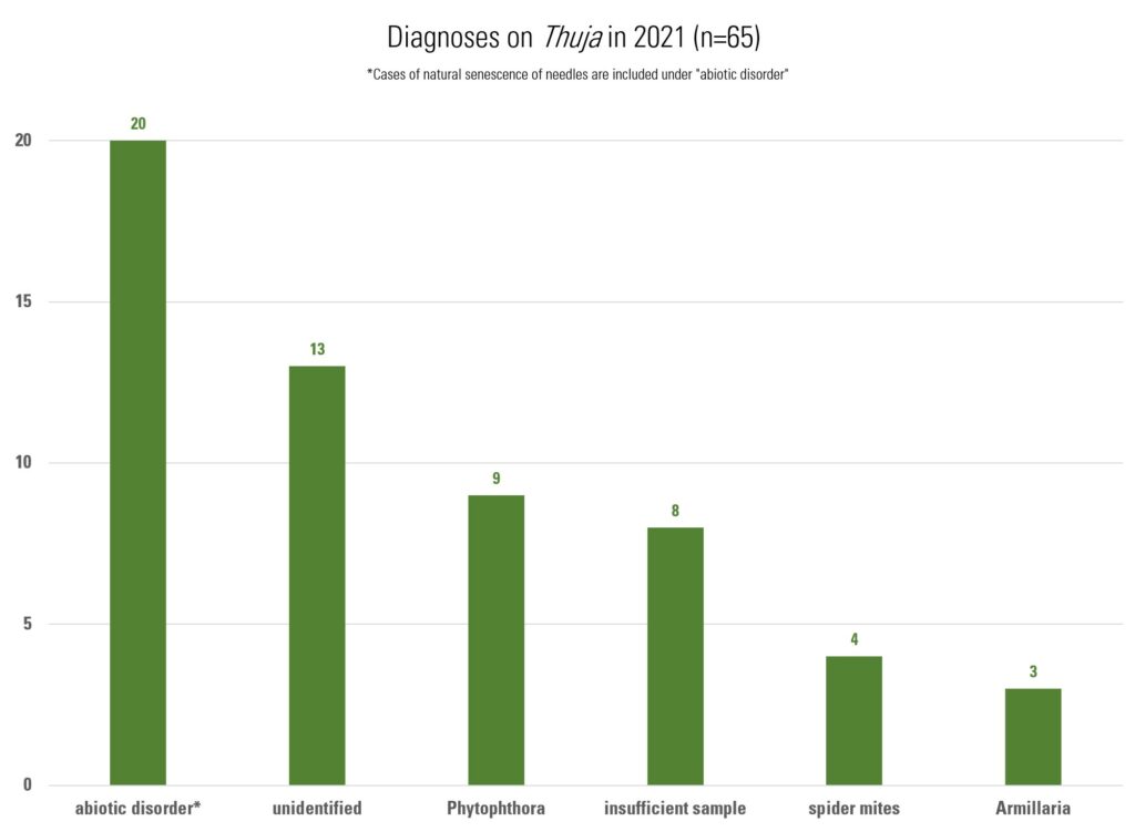 Bar graph showing top diagnoses from arborvitae