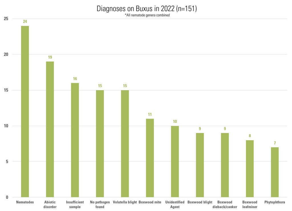 Bar graph showing most frequent diagnoses for boxwoods in 2022. Nematodes 24 Abiotic disorder 19 Insufficient sample 16 No pathogen found 15 Volutella blight 15 Boxwood mite 11 Unidentified Agent 10 Boxwood blight 9 Boxwood dieback/canker 9 Boxwood leafminer 8 Phytophthora 7