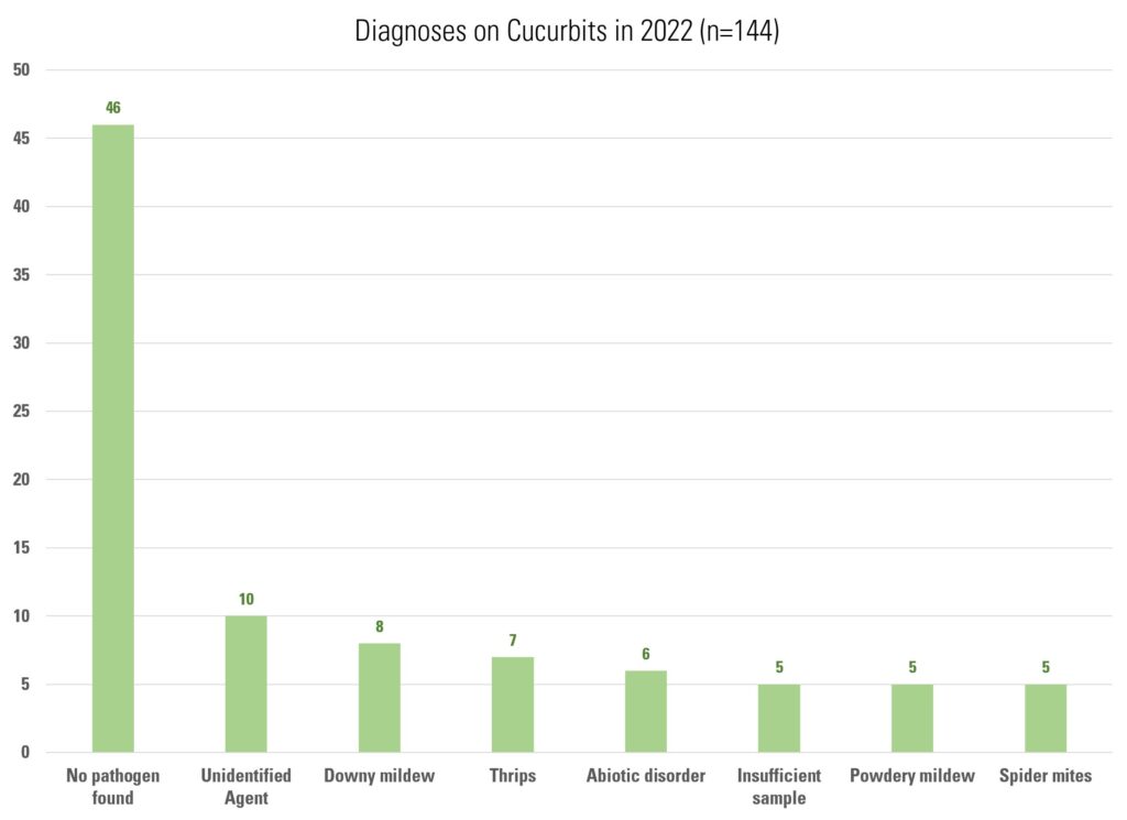 Bar graph showing most frequent diagnoses for cucurbits in 2022. No pathogen found 46 Unidentified Agent 10 Downy mildew 8 Thrips 7 Abiotic disorder 6 Insufficient sample 5 Powdery mildew 5 Spider mites 5