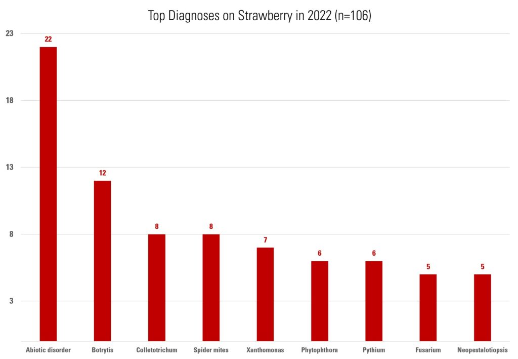 Bar graph showing most frequent diagnoses for strawberries in 2022. Abiotic disorder 22 Botrytis 12 Colletotrichum 8 Spider mites 8 Xanthomonas 7 Phytophthora 6 Pythium 6 Fusarium 5 Neopestalotiopsis 5