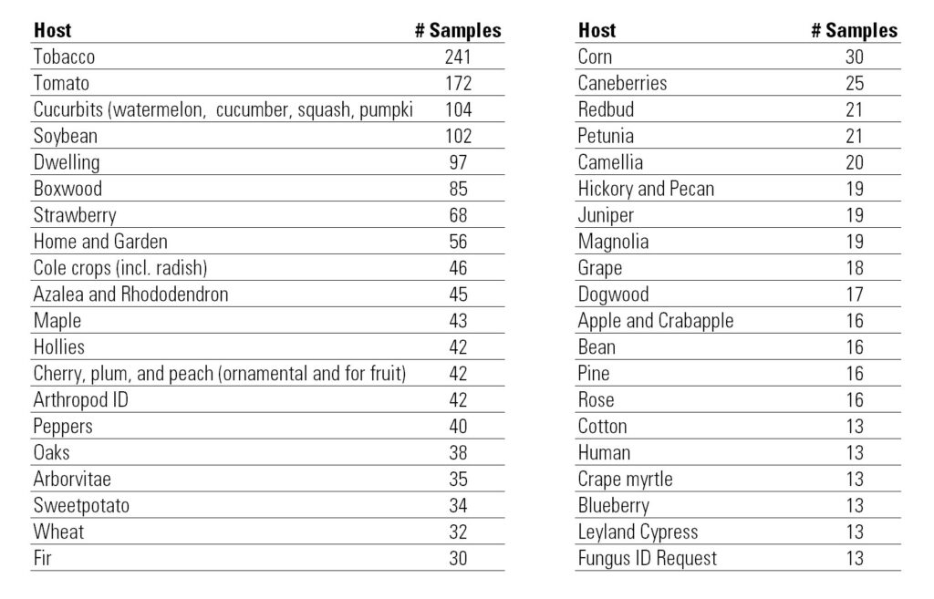 Table showing top 40 hosts submitted to the clinic in 2022. Tobacco 241 Corn 30 Tomato 172 Caneberries 25 Cucurbits (watermelon, cucumber, squash, pumpkin, cantaloupe) 104 Redbud 21 Soybean 102 Petunia 21 Dwelling 97 Camellia 20 Boxwood 85 Hickory and Pecan 19 Strawberry 68 Juniper 19 Home and Garden 56 Magnolia 19 Cole crops (incl. radish) 46 Grape 18 Azalea and Rhododendron 45 Dogwood 17 Maple 43 Apple and Crabapple 16 Hollies 42 Bean 16 Cherry, plum, and peach (ornamental and for fruit) 42 Pine 16 Arthropod ID 42 Rose 16 Peppers 40 Cotton 13 Oaks 38 Human 13 Arborvitae 35 Crape myrtle 13 Sweetpotato 34 Blueberry 13 Wheat 32 Leyland Cypress 13 Fir 30 Fungus ID Request 13