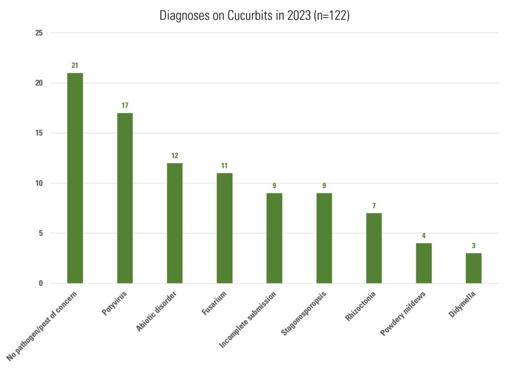 Top diagnoses for cucurbits in 2023: No pathogen/pest of concern 21, Potyvirus 17, Abiotic disorder 12, Fusarium 11, Incomplete submission 9, Stagonosporopsis 9, Rhizoctonia 7, Powdery mildews 4, Didymella 3 