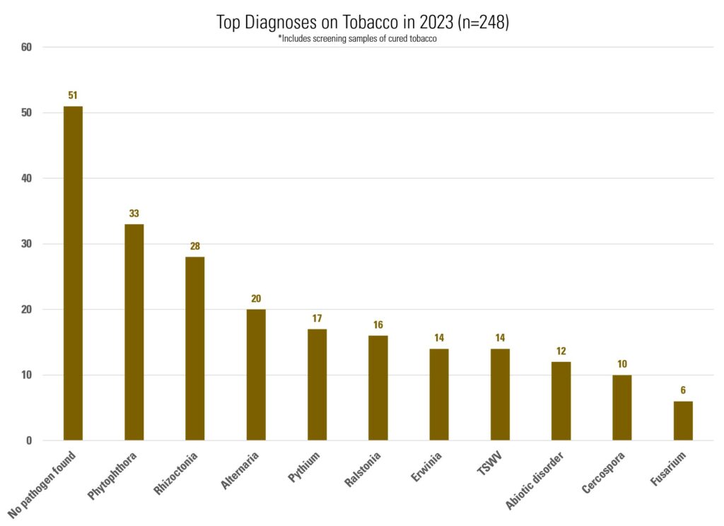 Top diagnsoes for tobacco in 2023: No pathogen found 51, Phytophthora 33, Rhizoctonia 28, Alternaria 20, Pythium 17, Ralstonia 16, Erwinia 14, TSWV 14, Abiotic disorder 12, Cercospora 10, Fusarium 6